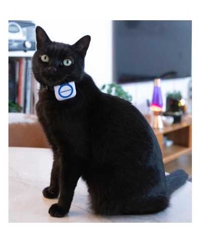 Pet GPS Finder + APP TUYA Daewoo Pets