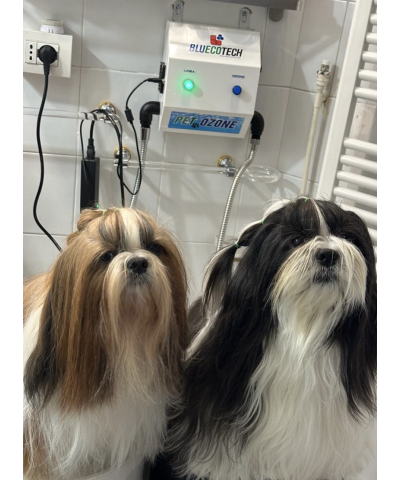 Generatore  Acqua Ozonizzata Pet Ozone E Bluecotech