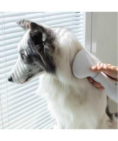 Pet Hair Grooming Dryer 2 IN 1Daewoo Pets