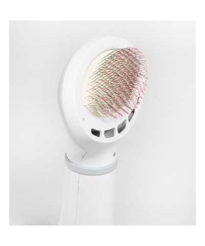 Pet Hair Grooming Dryer 2 IN 1Daewoo Pets