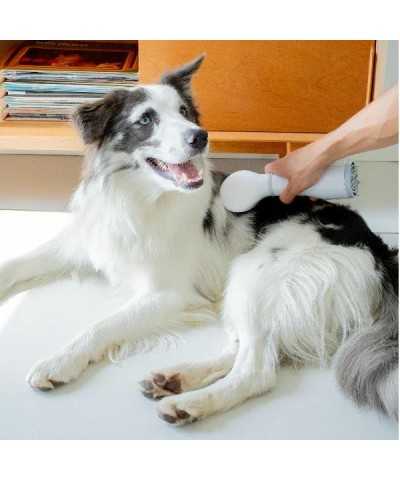 Pet Hair Grooming Dryer 2 IN 1Daewoo Pets