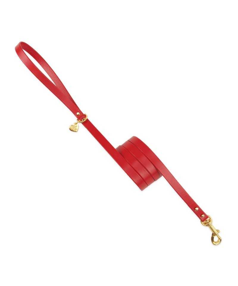 SIMPLE LEASH RED ECOLEATHER/GOLD Piccoli Pets
