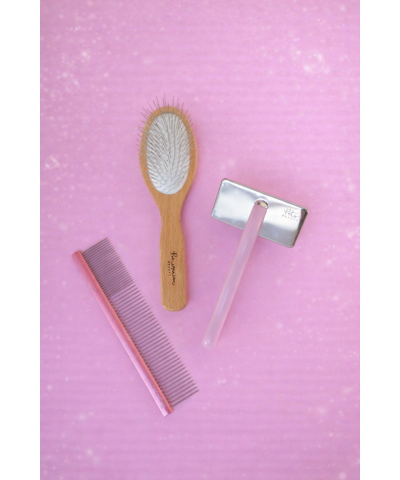 Pomeranian Beauty Kit Toelettatura