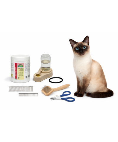 Kit Personalizzato Gatti Persiani