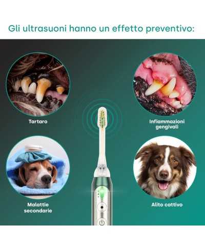 New Emmi®-pet NEO Set base Spazzolino ad Ultrasuoni