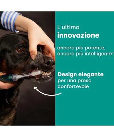 New Emmi®-pet NEO Set base Spazzolino ad Ultrasuoni