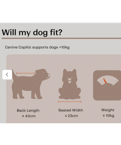 Seggiolino per bicicletta per animali domestici B&B Canine Copilot