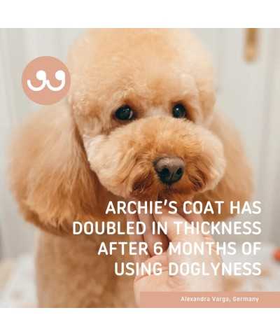 Doglyness Spray Condizionante All Day