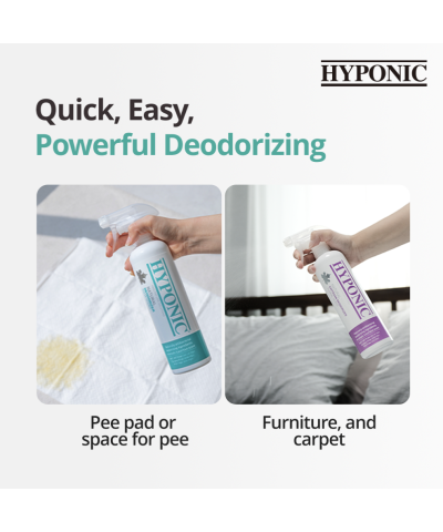 HYPONIC Deodorante Chitosan