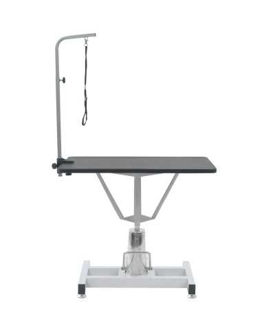 Tavolo Professionale Toelettatura TOPMAST