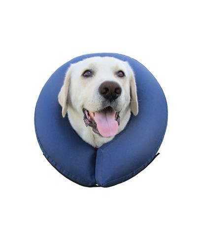 Collare di Protezione Premium Procollar