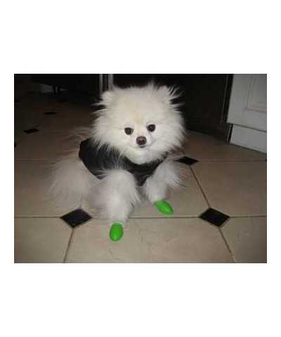 Calzini in Gomma Pawz