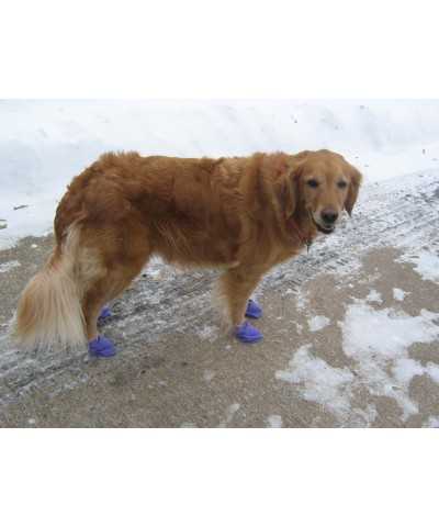 Calzini in Gomma Pawz