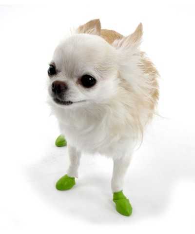 Calzini in Gomma Pawz