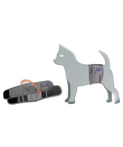Fascia Igienica cane  Bon Ton Easy