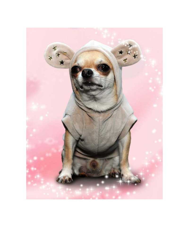 Grace Graciola Star Bunny Sweatshirt