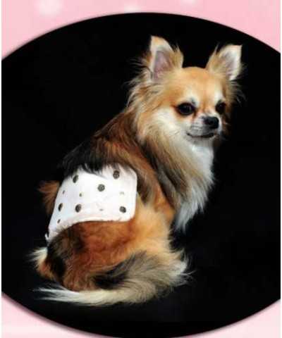 Grace Graciola Skull Bon Ton Band
