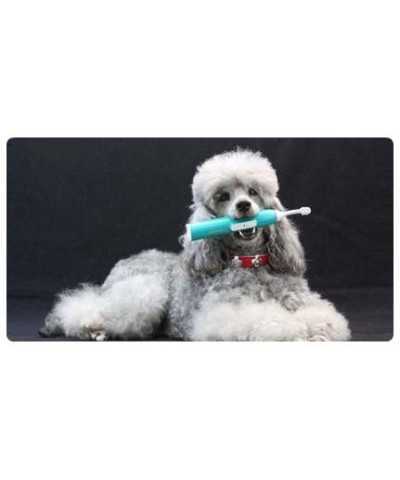 Spazzolino ad Ultrasuoni Emmi®-pet basic set 2.0