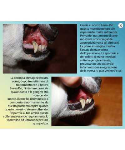 Spazzolino ad Ultrasuoni Emmi®-pet basic set 2.0