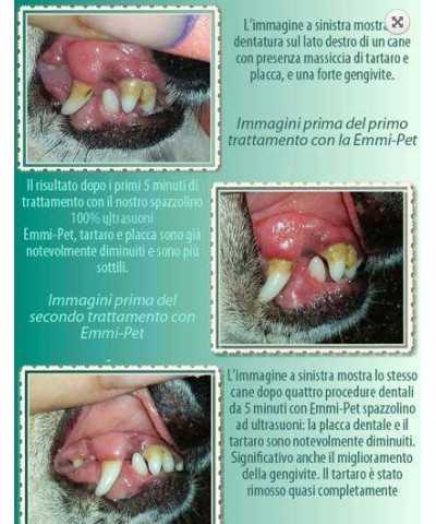 Spazzolino ad Ultrasuoni Emmi®-pet basic set 2.0