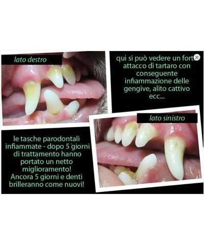 Spazzolino ad Ultrasuoni Emmi®-pet basic set 2.0