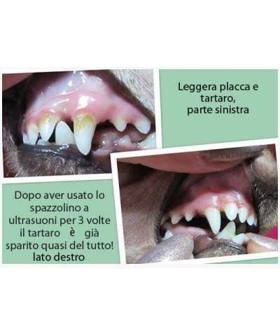 Spazzolino ad Ultrasuoni Emmi®-pet basic set 2.0