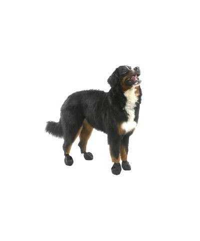 Calzini in Gomma Pawz Black
