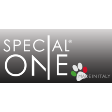 Special One