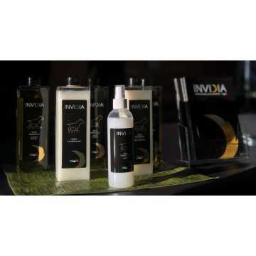 Invidia
