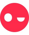 Hoopo